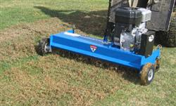 Bluebird t/b Turf Rake 5.5hp